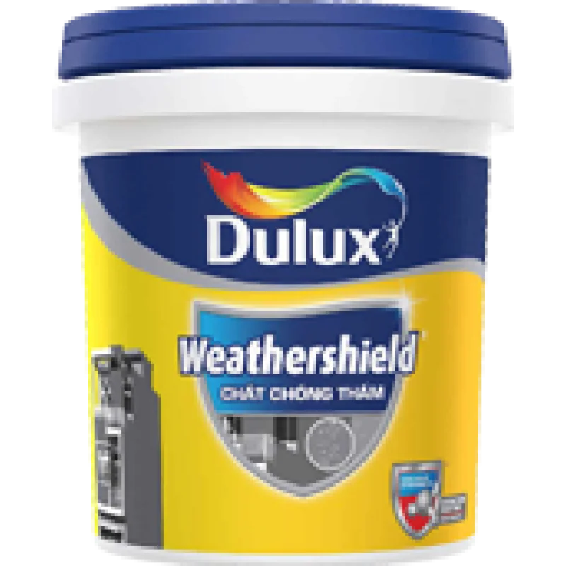 CÔNG TY TNHH SƠN CÔNG CHÍNH